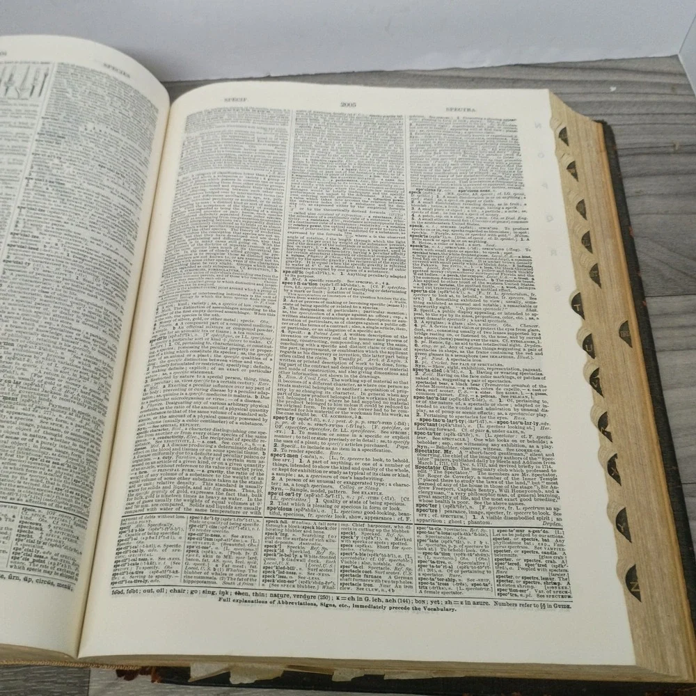 Vtg Webster's New International Dictionary, 1909 India Paper Ed Printed 1927